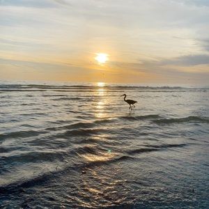 Meet your Posher, Kaiya